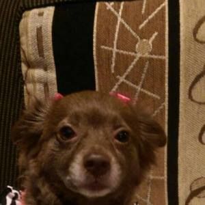 Meet your Posher, Cathleen